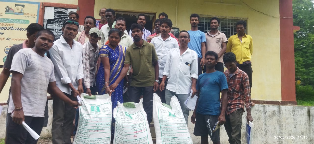 బుధరాళ్ల పంచాయతీ రైతులకు వరి విత్తనాలు పంపిణీ వైసిపి అల్లూరి జిల్లా కార్యదర్శి మాజీ పిఎసిఎస్ చైర్మన్ సుమర్ల సూరిబాబు అగ్రికల్చర్ అసిస్టెంట్ ఆధ్వర్యంలో